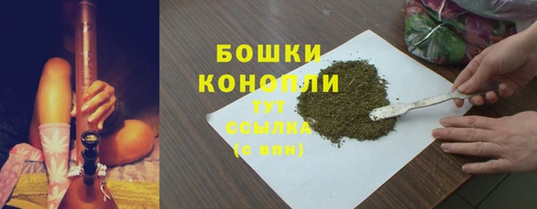 Альфа ПВП Бородино