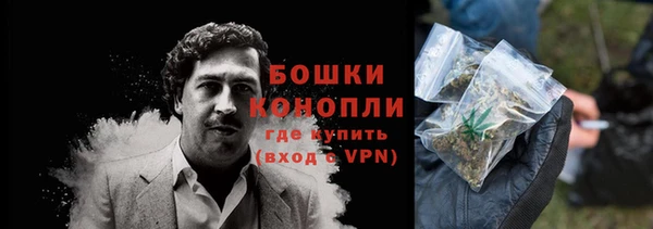 Альфа ПВП Бородино