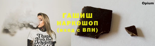 Альфа ПВП Бородино