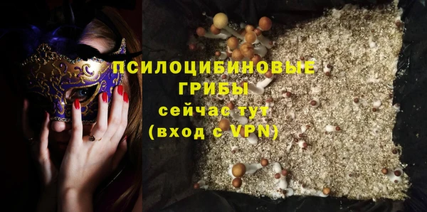 Альфа ПВП Бородино